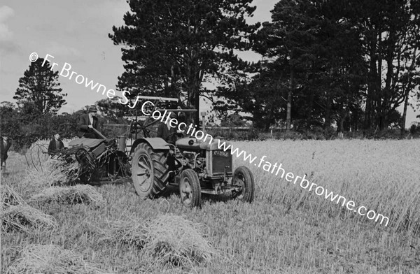 TRACTOR HARVESTING WINTER WHEAT PORTARLINGTON AVENUE